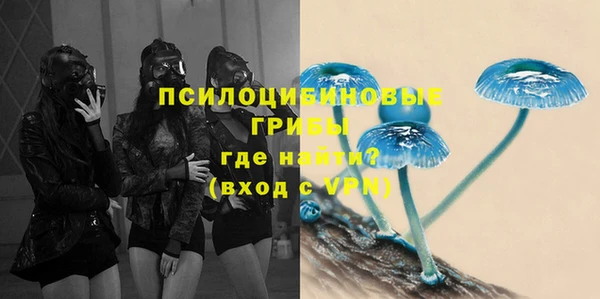 мяу мяу мука Алексеевка