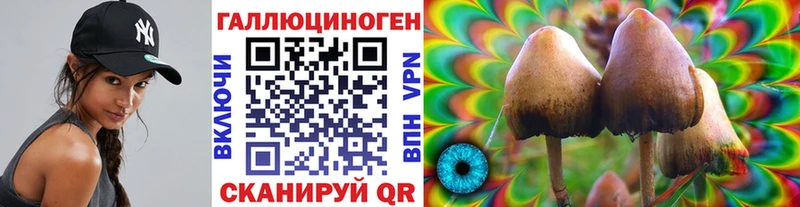 наркошоп  это какой сайт  Псилоцибиновые грибы мицелий  Спасск-Рязанский 